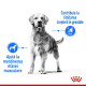 Royal Canin Medium Light Weight Care Adult – Hrană Uscată pentru Câini de Talie Medie cu Tendință de Îngrășare – 12 kg